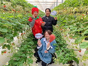 「株式会社 阿蘇ファームランド」